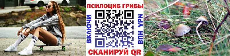Галлюциногенные грибы прущие грибы  гидра ONION  Игарка 